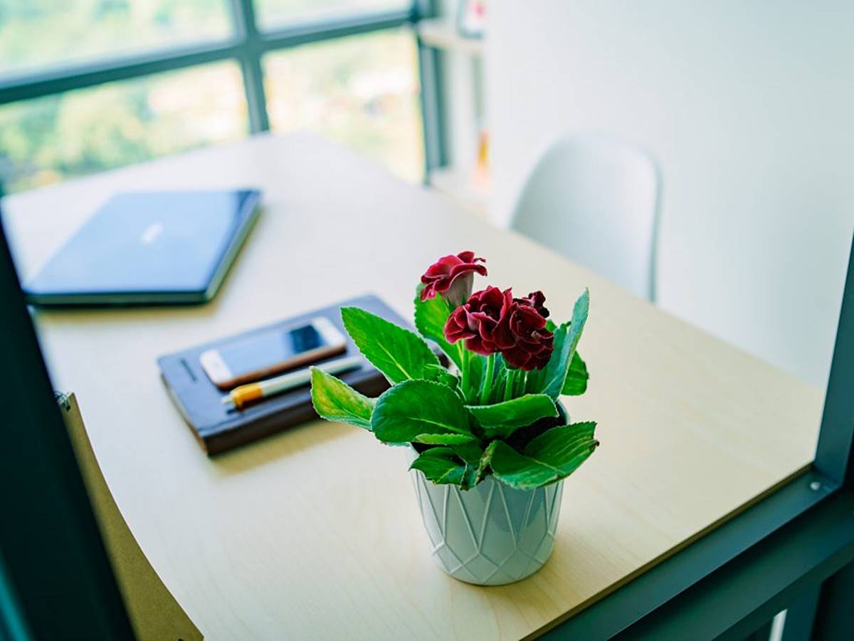 Văn phòng trọn gói Unit Office, Golden King Building, 15 Nguyễn Lương Bằng, Phường Tân Phú, Quận 7 - vlook.vn
